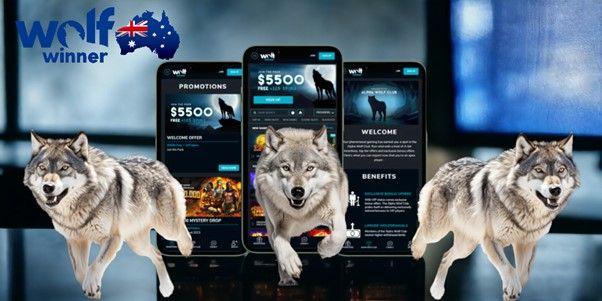 Información sobre Wolf Winner Casino AU