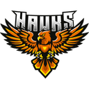 Team Hawks (callofduty)