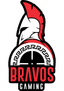 Bravos(counterstrike)