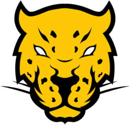 Jaguares Gaming(dota2)