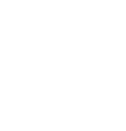 PUBG Vietnam Series 2024 - Phase 2