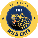İstanbul Wildcats(valorant)