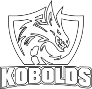 Team Kobolds(valorant)