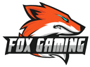 Fox Gaming (wildrift)