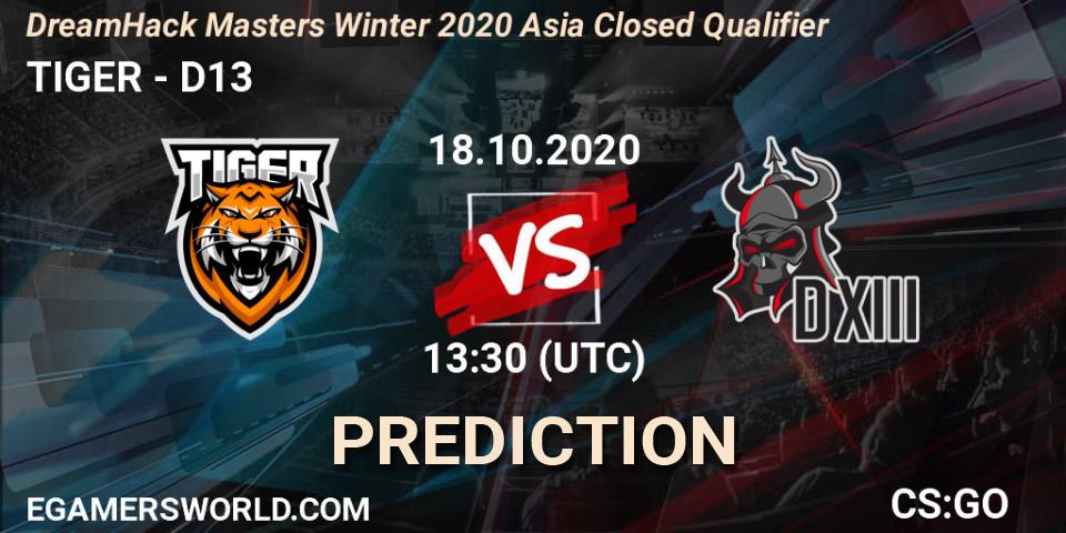 Pronóstico TIGER - D13. 18.10.2020 at 13:30, Counter-Strike (CS2), DreamHack Masters Winter 2020 Asia Closed Qualifier
