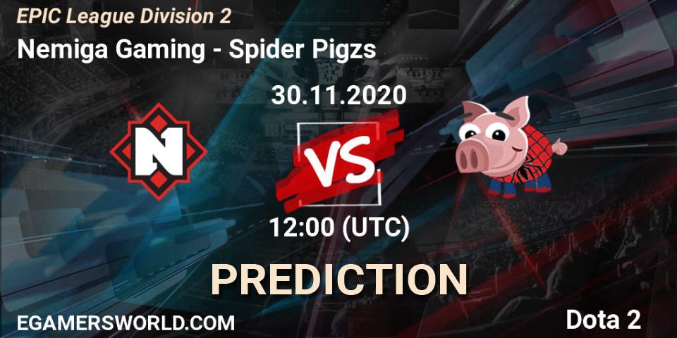 Pronóstico Nemiga Gaming - Spider Pigzs. 30.11.2020 at 11:09, Dota 2, EPIC League Division 2