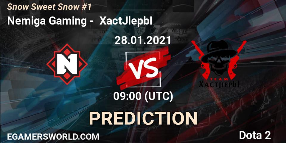 Pronóstico Nemiga Gaming - XactJlepbI. 28.01.2021 at 08:57, Dota 2, Snow Sweet Snow #1