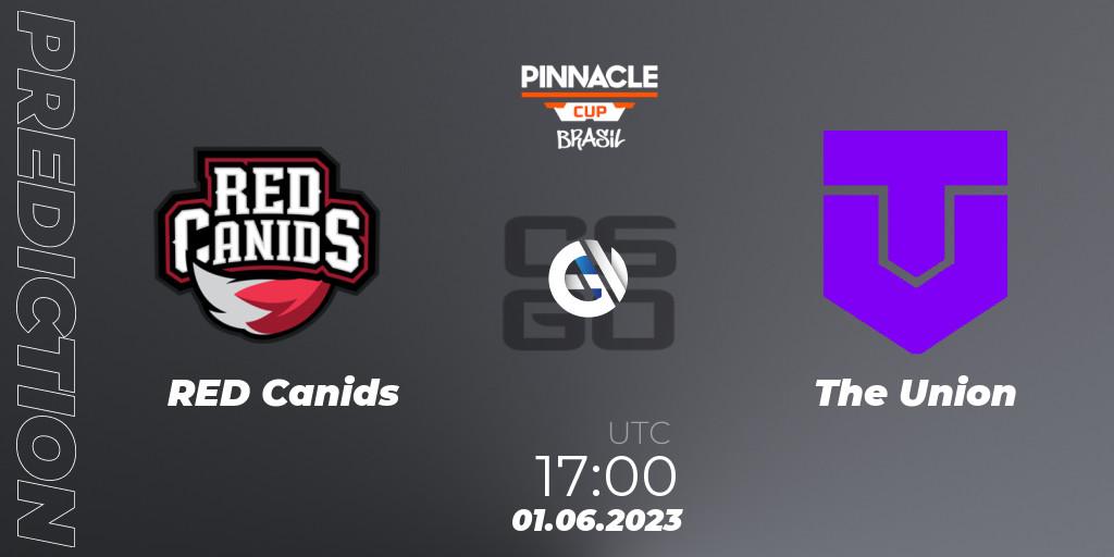 Pronóstico RED Canids - The Union. 01.06.23, CS2 (CS:GO), Pinnacle Brazil Cup 1