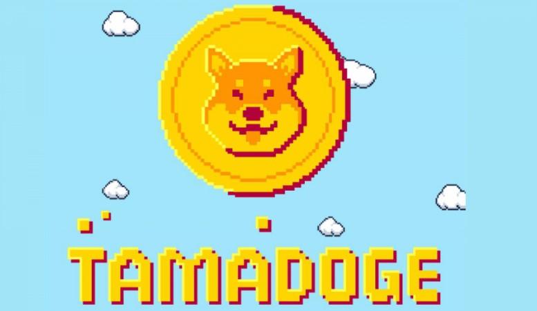 Tamadoge: ¿otro intento de publicidad en Dogecoin o una gran novedad en el mundo de los juegos NFT-?