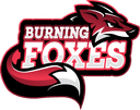 Burning Foxes (counterstrike)