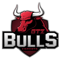 GTZ Bulls Esports(counterstrike)
