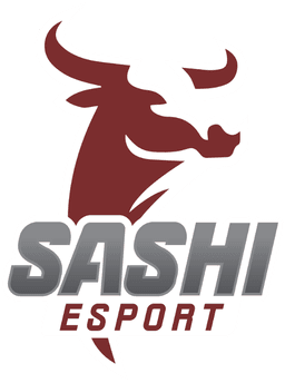 Sashi Esport(counterstrike)