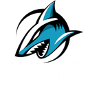 Team Adroit (dota2)