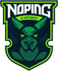 NoPing eSports (dota2)