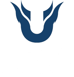 Team Unique(dota2)