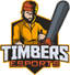 Timbers Esports (fifa)