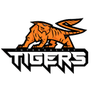 Intergalaxy Tigers Gaming (lol)