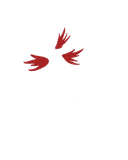 Team 815 (overwatch)