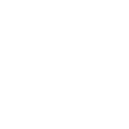 LanTrek 2020