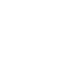 Mid-Season Invitational 2022