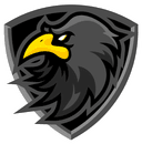 5 Ravens (valorant)